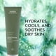 thumbnail image 2 of Mascarilla facial Aveda Botanical Kinetics Hidratante Intensa 125ml, 2 of 6