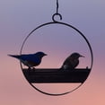 thumbnail image 5 of Mosaic Birds Bistro Bird Feeder - Premium Metal Bird Feeder, Chew-Proof, Weather & Water Resistant, 16.9oz, 1 Piece, Black, 5 of 8