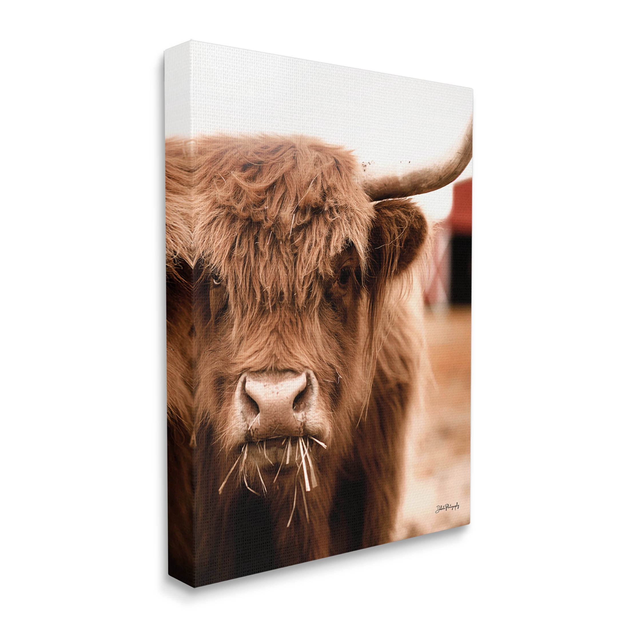 Grazing Cow Animal Portrait Animals & Insects Photograph Gallery Wrapped Canvas Print Wall Art