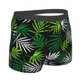 thumbnail image 3 of Disketp Tropical Leaves1 Men'S Boxer Briefs,Soft And Breathable Cotton Underwear With Comfortflex Waistband, 3 of 8
