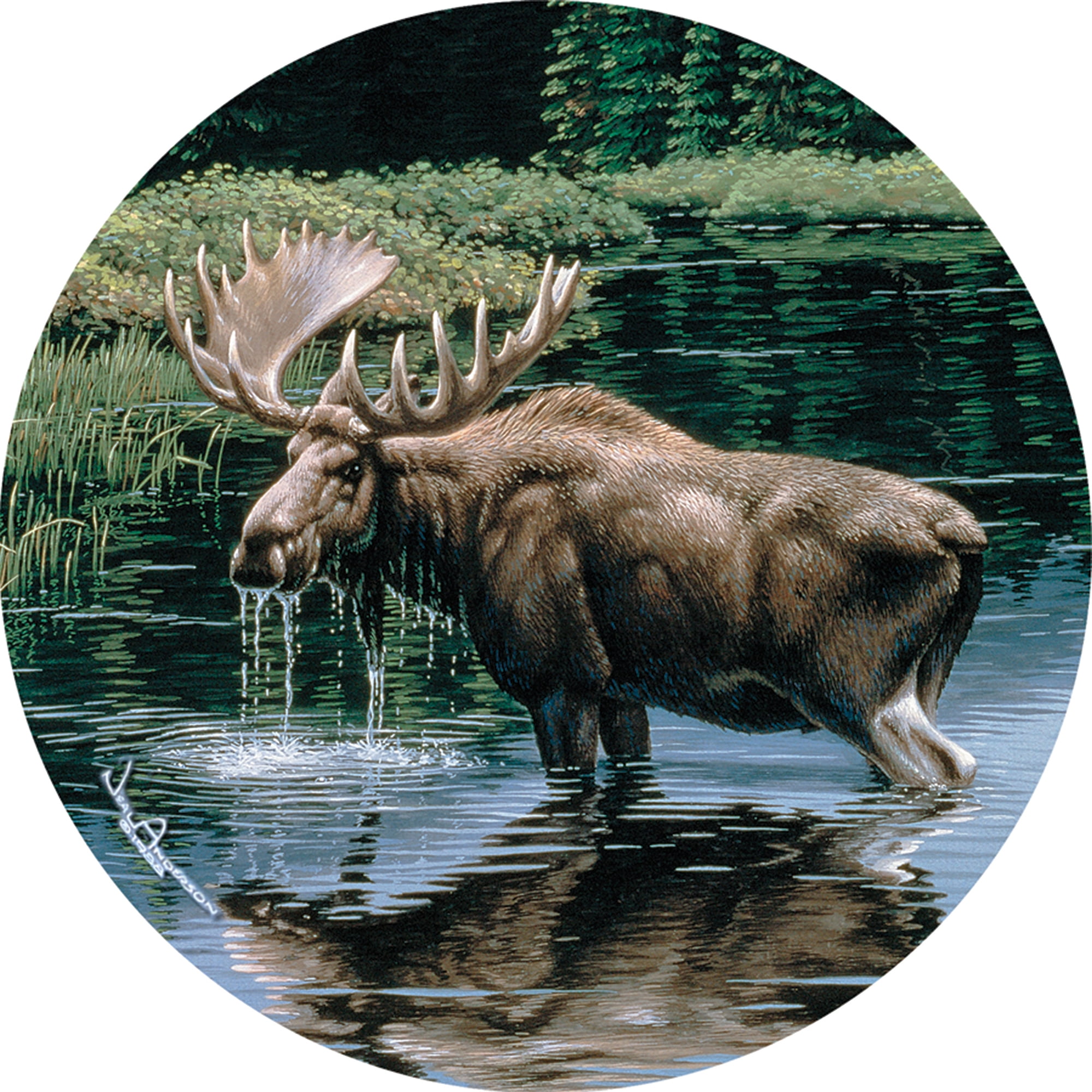 THIRSTYSTONE COASTERS NATURAL SOLID SANDSTONE MOOSE MADE USA ROUND 