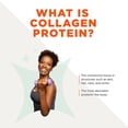 thumbnail image 4 of Bulletproof Collagen Protein, Unflavored (26 Ounce), 4 of 5