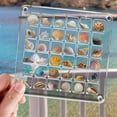 thumbnail image 6 of Kokiya Acrylic Display Box 12.5cmx12.5cm 36 Grids for Jewelry Nail Trinket, 6 of 9