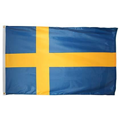 Sweden Country Flag 3x5 Foot Swedish Flag Double Stitched Sweden Flag with Brass Grommets | 3 by 5 Foot Premium Indoor Outdoor Polyester Banner Flag ()