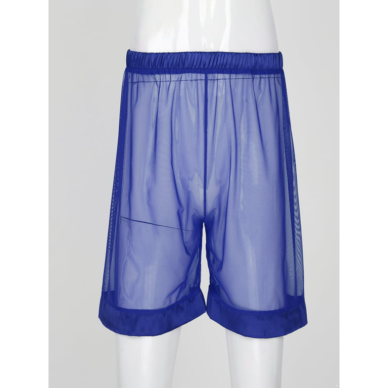 MSemis Men's Sheer Mesh Boxer Shorts See-Through Smooth Briefs Lounge  Underwear