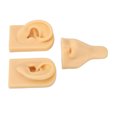 thumbnail image 1 of Modèle de Nez, Modèle d'Oreille de Nez en Silicone Modèle d'Oreille de Nez en Silicone Fonctionnalité Intelligente, 1 of 7