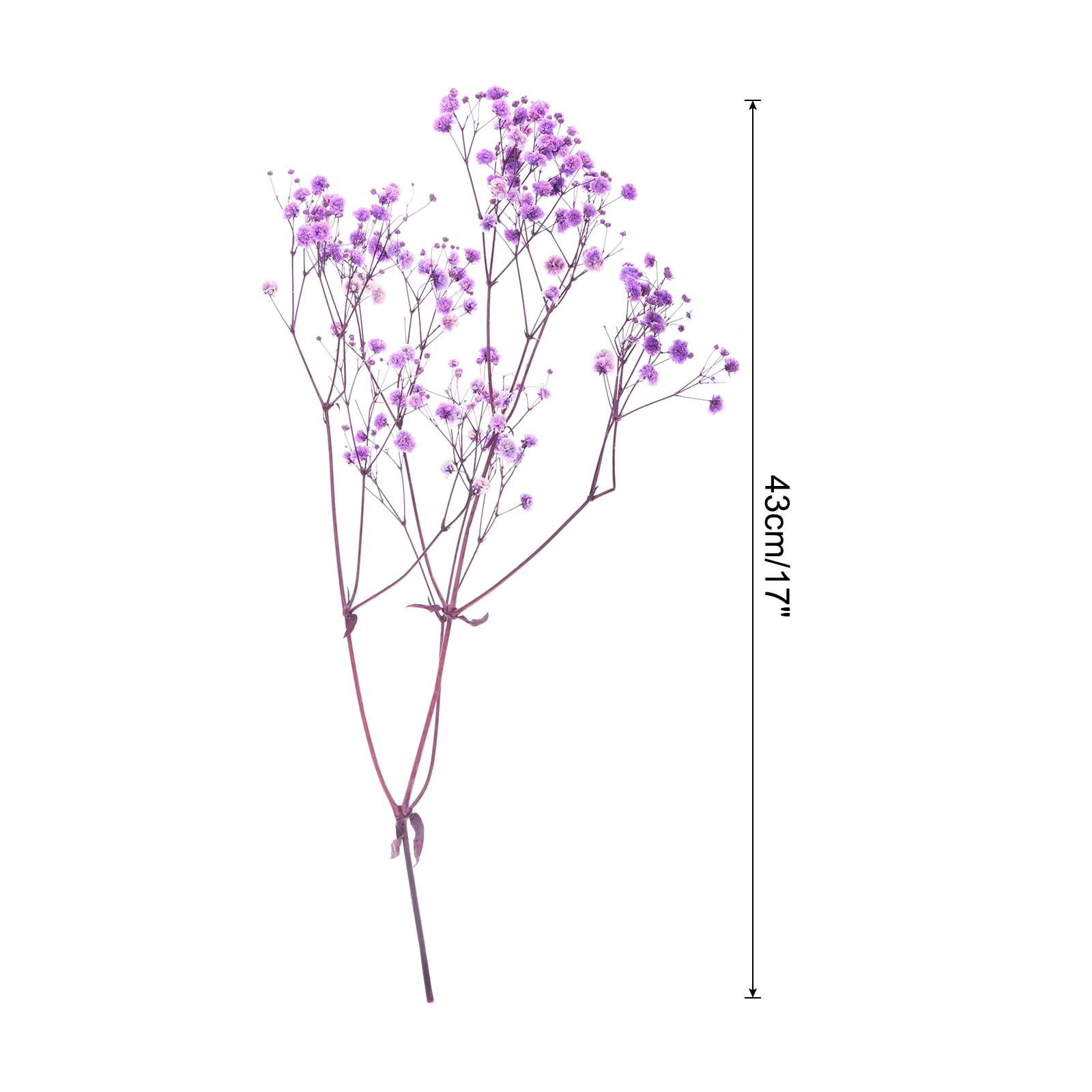 Uxcell Dried Baby's Breath Flowers 17 Inch Gypsophila Light Purple Natural Baby's Breath Branches for Wedding Party Home Decoration 3 Pcs