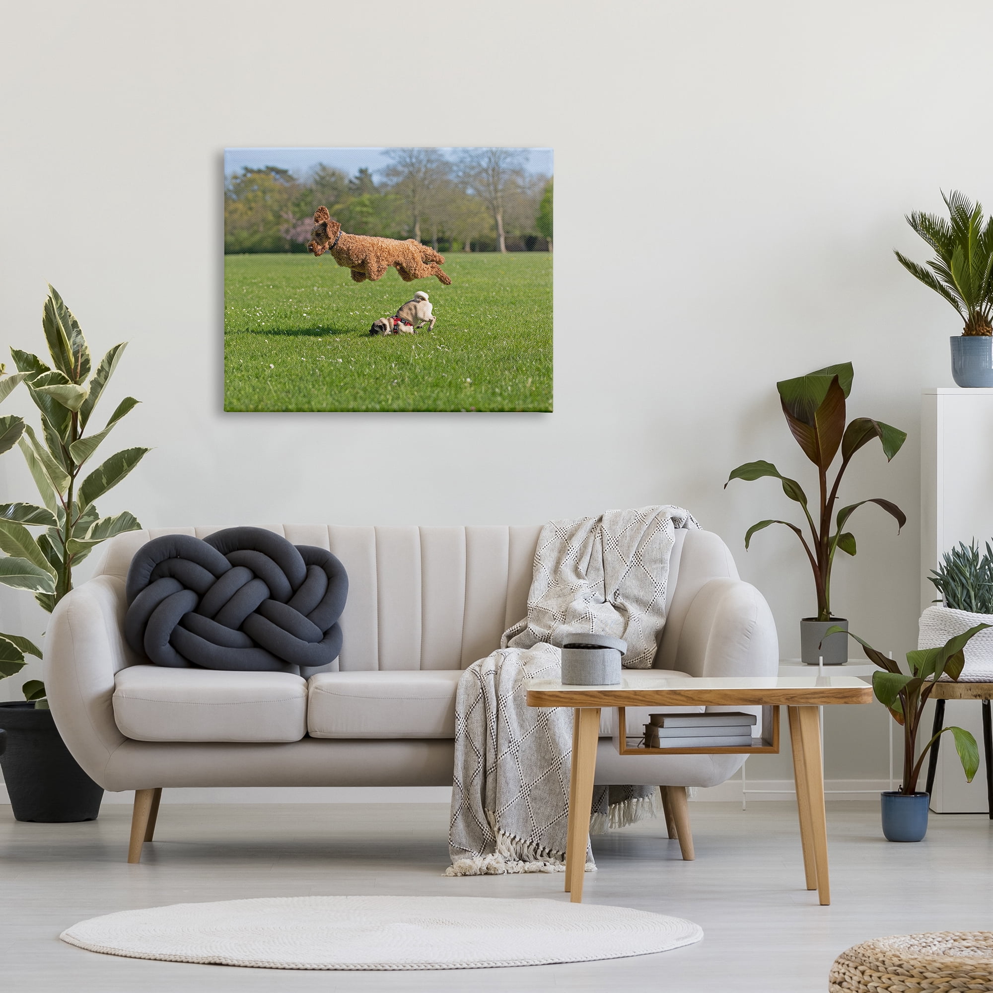 Stupell Industries Jumping Dogs in Field Animals & Insects Photography Gallery Wrapped Canvas Art Print Wall Art, 40 x 30