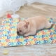 thumbnail image 5 of Casa para Mascotas XWSHYW Estera de Hielo Fresca para Perros y gatos, 5 of 6