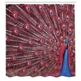 thumbnail image 3 of Ambesonne Burgundy Shower Curtain, Peacock Bird Surreal, 69"Wx84"L, Burgundy Blue, 3 of 5