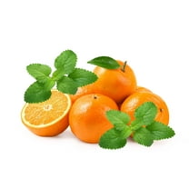 25 Orange MANDARINA BALM Mandarin Lemon Balm Melissa Officinalis Herb Seeds