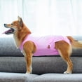 thumbnail image 3 of Recovery Suit for Dogs - Protects Wounds  Sutures  Skin Conditions  Light Incontinence  When in Heat  after Surgery Spay/Neuter, 3 of 6