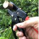 thumbnail image 5 of Podadora automática de rejilla con yunque y trinquete (GPPS-1011). Cortador de ramas de tijeras de seto de jardín oso de fresa Electrónica, 5 of 5