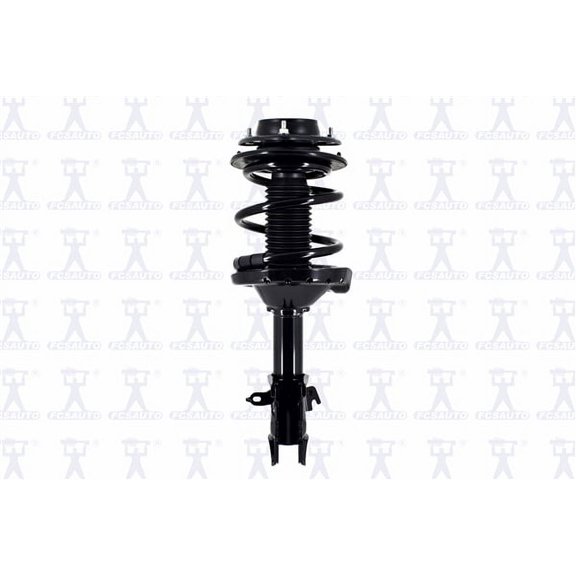 Suspension Strut and Coil Spring Assembly