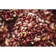 thumbnail image 2 of Beans for sale in the old City of Harar in Eastern Ethiopia; Harar  Ethiopia Poster Print, 2 of 2