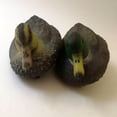 thumbnail image 4 of jinwen 2 Pieces XPE Floating High Simulation Duck Decoy Hunting Decoy Garden Decor, 4 of 4