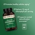 thumbnail image 5 of Dr. Mercola Fermented Chlorella - Supports Normal Detox & Cellular Energy - With Chlorophyll & Trace Minerals - Vegan - Non-GMO - 1 g - 450 Tablets, 5 of 8
