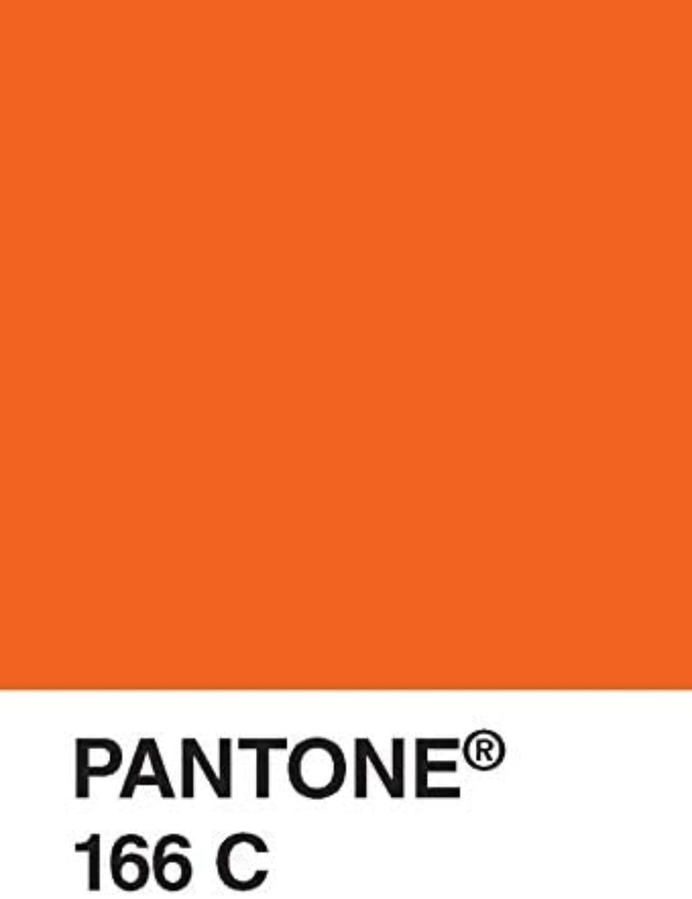 Pantone Postcard Box 100 Postcards Pantone Color Chip Card Set Art Postcards Perfect For Pantone Fans This Charming Postcard Collection By Brand Chronicle Books Walmart Com Walmart Com Pantone Postcard Box 100 Postcards Pantone Color Chip Card Set Art Postcards Perfect For Pantone Fans This Charming Postcard Collection By Brand Chronicle Books Walmart Com Walmart Com