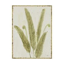 Trademark Fine Art 'Forest Ferns II v2 Antique' Canvas Art by Albena Hristova