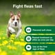 thumbnail image 4 of Tratamiento antipulgas masticable para perros Advantus 2, 10 kg, 7 unidades, 4 of 9