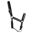 thumbnail image 2 of Hy Mystic Horse Halter, 2 of 3