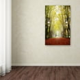 thumbnail image 4 of Trademark Fine Art "Plane Tree Alley" Canvas Art by Philippe Sainte-Laudy, 4 of 4
