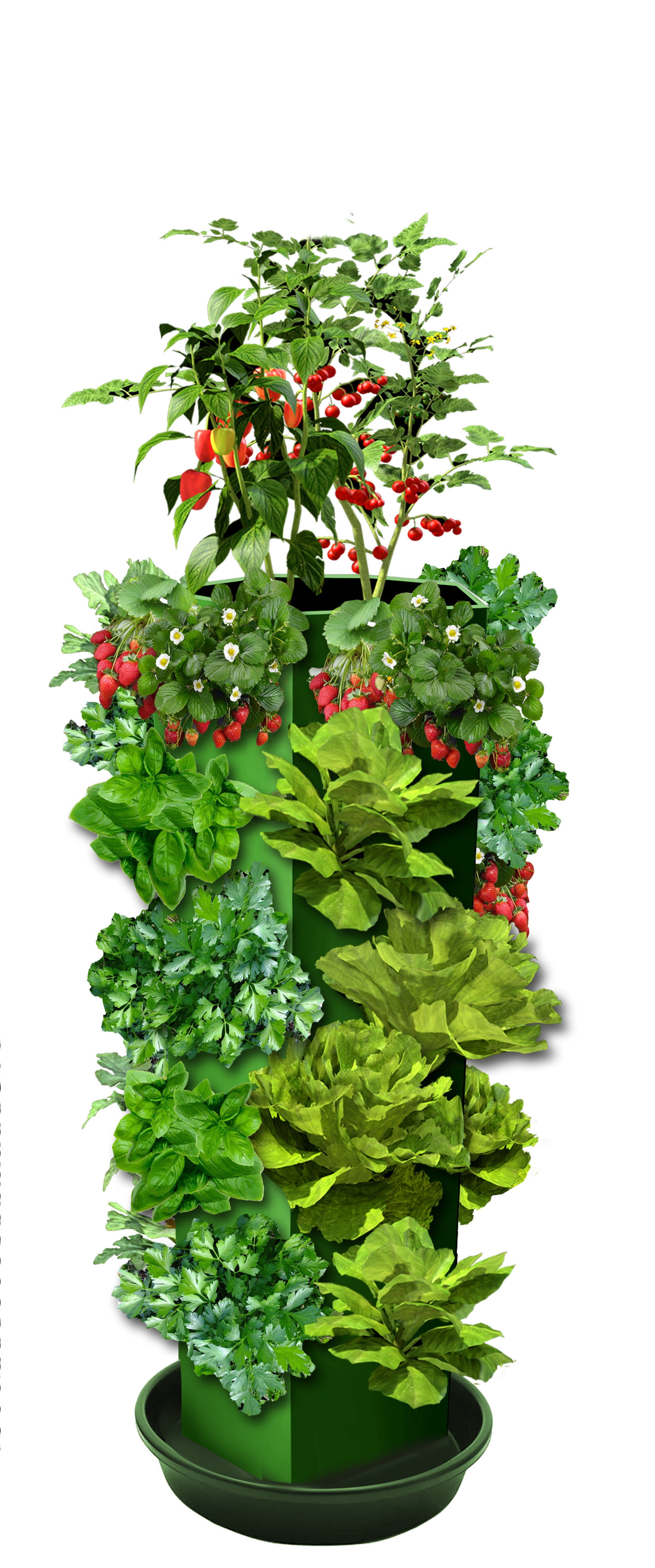 Genesis Plant Tower Green