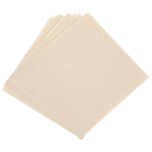 10 Sheets Bouquet Paper Fish Lamp Paper Lantern 45.00X45.00X0.01CM Khaki