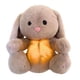 thumbnail image 2 of Peluche Dinosaurio Chupete para Bebé Con Música Y Luces Recién Nacidos (marrón Claro), 2 of 9