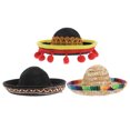 thumbnail image 5 of Sombrero decorativo para mascotas de Halloween de 3 piezas Sombrero de estilo mexicano Disfraces de Halloween para mascotas, 5 of 5