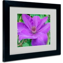 Trademark Fine Art "Purple Flower" by Monica Fleet, Black Frame