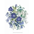 thumbnail image 2 of Loudon, Jane 11x14 White Modern Wood Framed Museum Art Print Titled - Loudon Florals I, 2 of 4