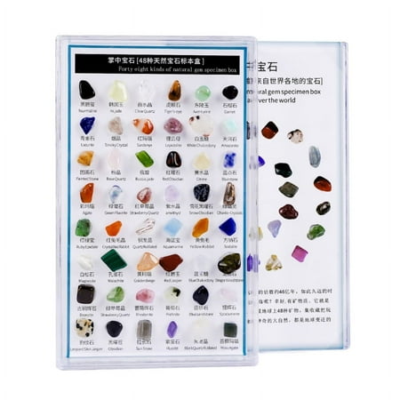 48pcs Real Gems Mineral STEM Science & Educational Toys Great Kids Activities School Supplies
