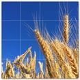 thumbnail image 1 of Picture-Tiles.com: Farm Ceramic Tile Wall Mural WAL500583-44L. 32"W x 32"H using (16) 8" x 8" Ceramic Tiles-Satin Finish, 1 of 3