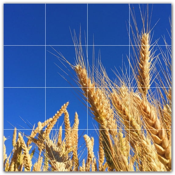 Picture-Tiles.com: Farm Ceramic Tile Wall Mural WAL500583-44XL. 48"W x 48"H using (16) 12" x 12" Ceramic Tiles-Satin Finish