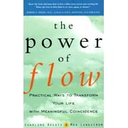 The Power of Flow (Paperback)