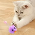 thumbnail image 4 of Cat Chew with Head Design Soft Pet Playing Props for Boredom and Destructive Behavior Control, 4 of 4