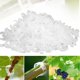 thumbnail image 1 of Hoidokly Clips de jardín Soporte para Plantas, plástico Vid Tomate, duraderos Flores Cordel, Orquídea Crecer Vertical y más Saludable (Blanco-50pc) Blanco-50pc, 1 of 7