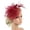 Wine Red, variant on Fascinators Hat Flower Mesh Ribbons Feathers with Clip Tea Party Headwear for Women Women's Fascinators Tea Party Headwear Church Hat for Women Fascinators Hats for Women Tea Party Navy One Size