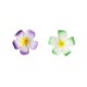 thumbnail image 4 of unbranded 20Ud Pinzas Para Decorativas Hawaii Para Fiesta Y Uso Diario, 4 of 8