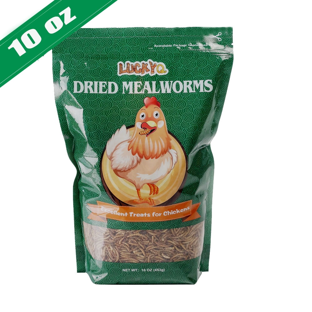 NonGMO Dried Mealworms 100 Natural for chickens Birds Bluebirds
