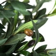 thumbnail image 2 of Vickerman 50" Artificial Potted Olive Tree., 2 of 5