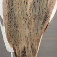 thumbnail image 2 of Jamie Young Co Landslide Transitional Ceramic Table Lamp in Gray/Beige, 2 of 2