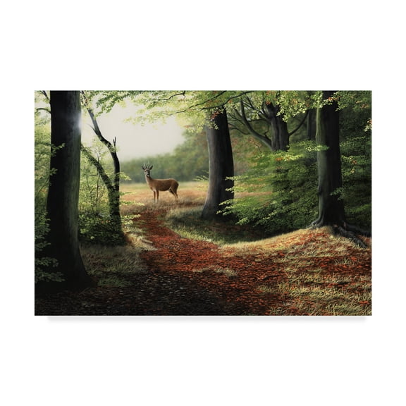 Trademark Fine Art 'Roe Deer' Canvas Art by Nigel Artingstall