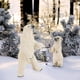 thumbnail image 4 of Animales Modelo Estático Oso Polar Adornos Niños Juguetes Educativos Decoración Del Hogar 2 Uds Figuras Noticed HA035119-00, 4 of 6