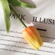 thumbnail image 3 of 10 Uds. De tulipanes falsos de PU, ramo de flores artificiales de tacto Real para decoración de boda, oficina en casa, 3 of 5