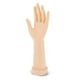 thumbnail image 5 of 1 Maniquí Pantalla Base Guantes Joyas Modelo Derecha E Izquierda s Sunnimix Maniquí de mano para mujer adulta, 5 of 8
