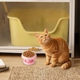thumbnail image 5 of Elevated Cat Bowls, Anti-tip Stainless Steel Feeding Plate, Neck Protection Wide Opening Cat Elevated Food Bowl, for Indoor, Outdoor, Home, Daily, Veterinary, Kitten, Dog, 5 of 6