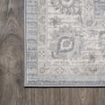 thumbnail image 3 of JONATHAN Y MODERN PERSIAN 2 x 8 Runner Rug, Vintage Moroccan Traditional - Light Gray, MDP101B-28, 3 of 9