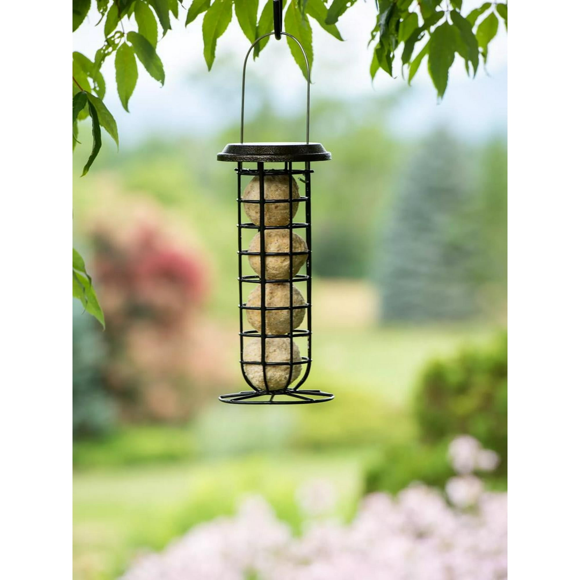 Suet Ball & Feeder Combo Set